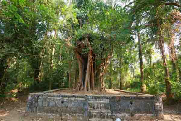 Chiravarambathukavu Temple Gallery